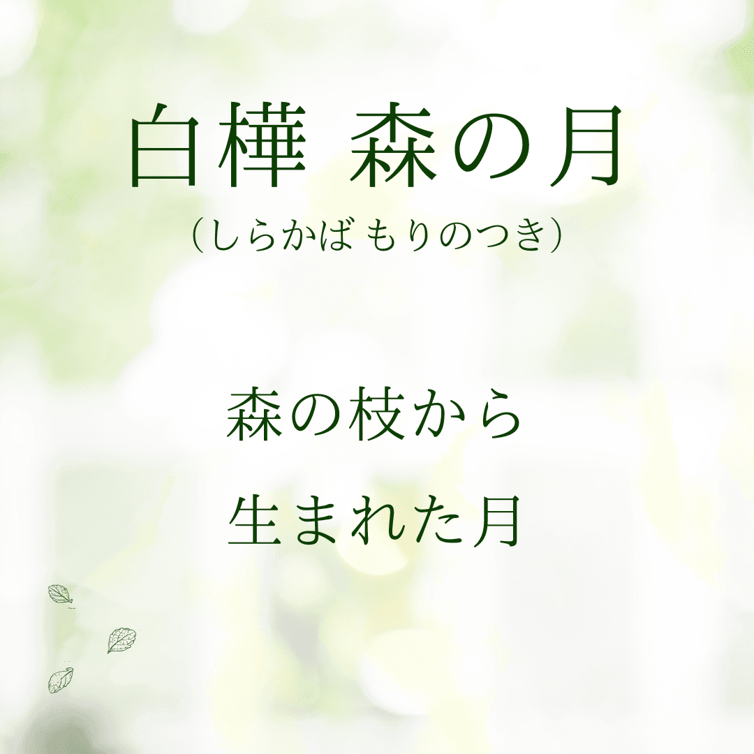 『白樺 森の月』送料無料／ピアス・イヤリング 木のアクセサリー 北海道 ナチュラル 軽い 同じ枝のペア | 8枚目